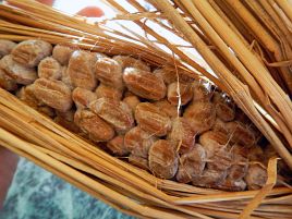 千年前に源義家が食べた納豆の元祖を「義家納豆」で再現