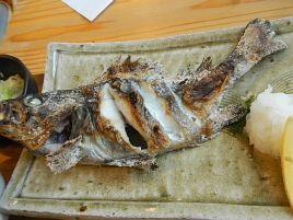白金・きらぼし食堂にて超美味な北海道の魚定食を950円で