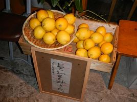 広島産レモンで作られたサワー6種が楽しめる「おじんじょ」